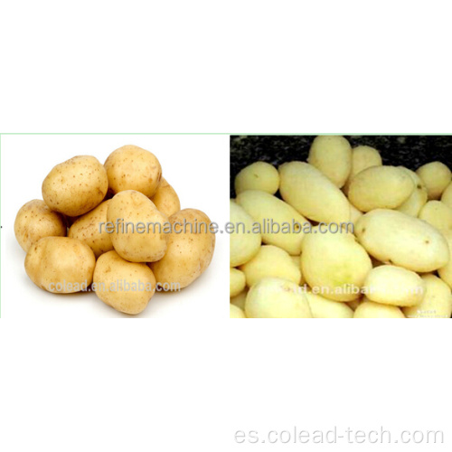 Patatas y pelucas de yuca y lavadora